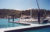 WS2000_030_oz_-c_Acropora_at_Hamilton_Island