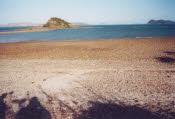 WS2000_042_oz_-c_Pelican_island