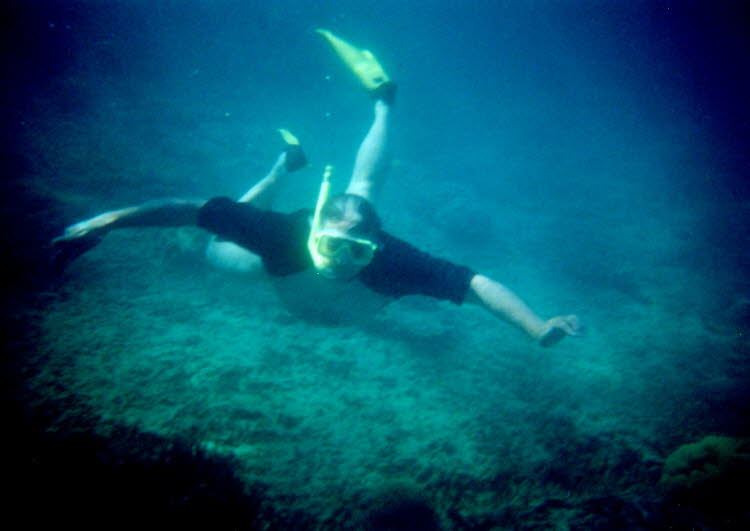 WS2000_248_oz_-c_Bruce_Underwater