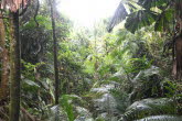 to Cairns 028 Small