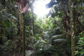 to Cairns 029 Small
