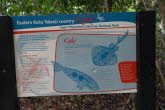 to Cairns 031 Small