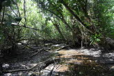to Cairns 034 Small