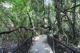 to Cairns 035 Small