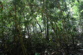 to Cairns 036 Small