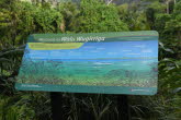 to Cairns 048 Small
