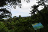 to Cairns 050 Small