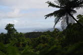 to Cairns 052 Small