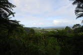 to Cairns 053 Small