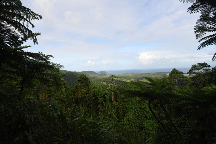 to Cairns 053 Small