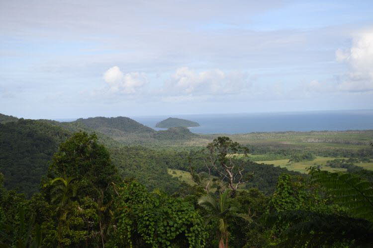 to Cairns 054 Small