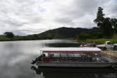 to Cairns 058 Small