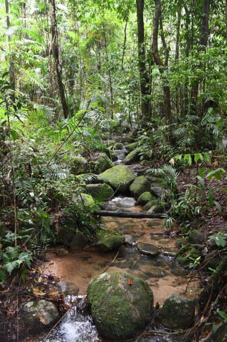 to Cairns 073 Small
