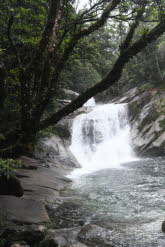 to Cairns 084 Small
