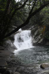 to Cairns 085 Small