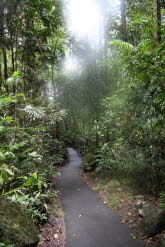 to Cairns 088 Small
