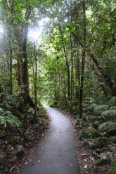 to Cairns 091 Small