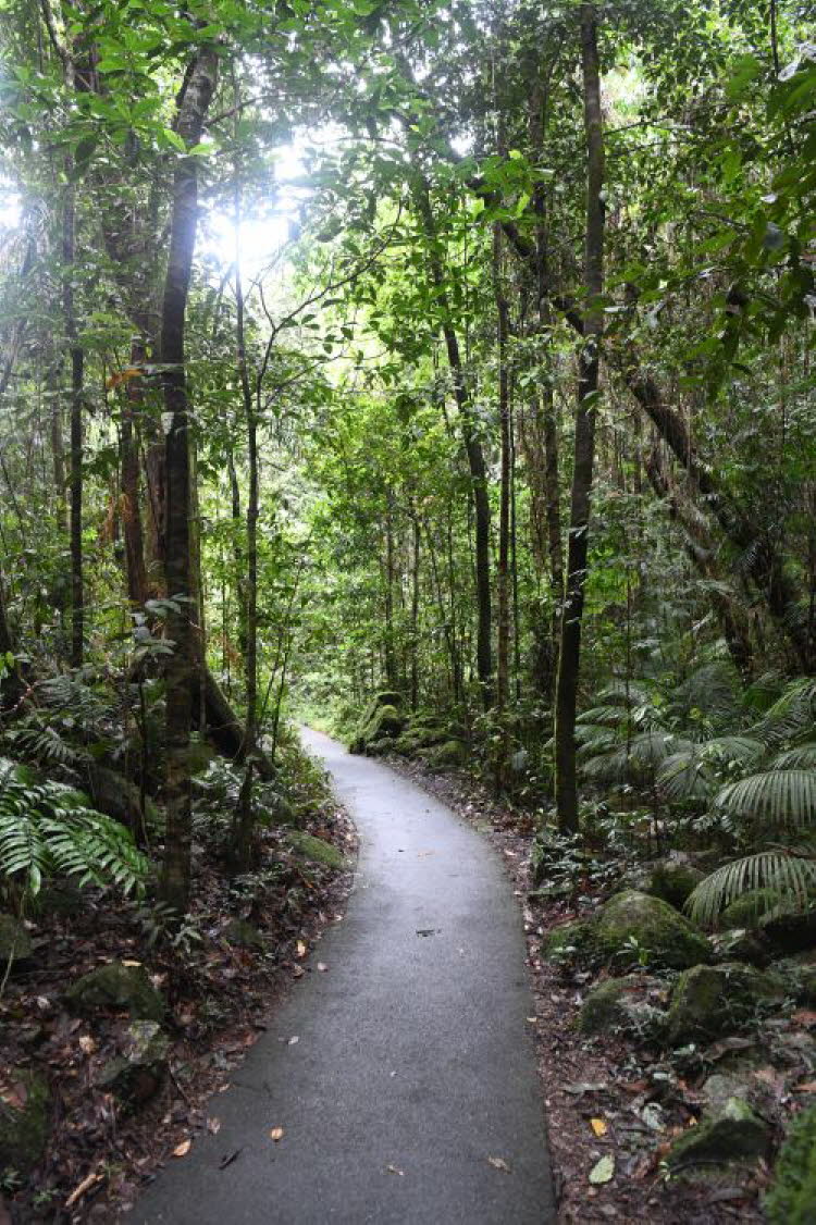 to Cairns 091 Small
