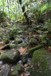 to Cairns 092 Small