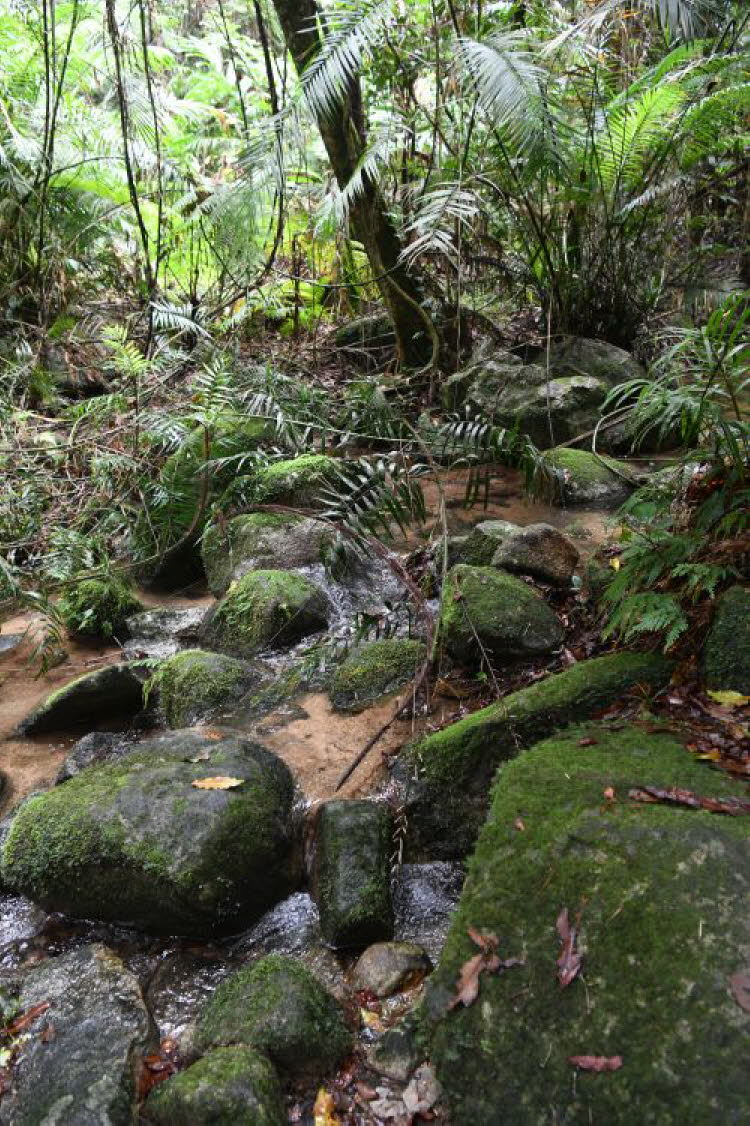 to Cairns 092 Small