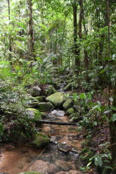 to Cairns 093 Small