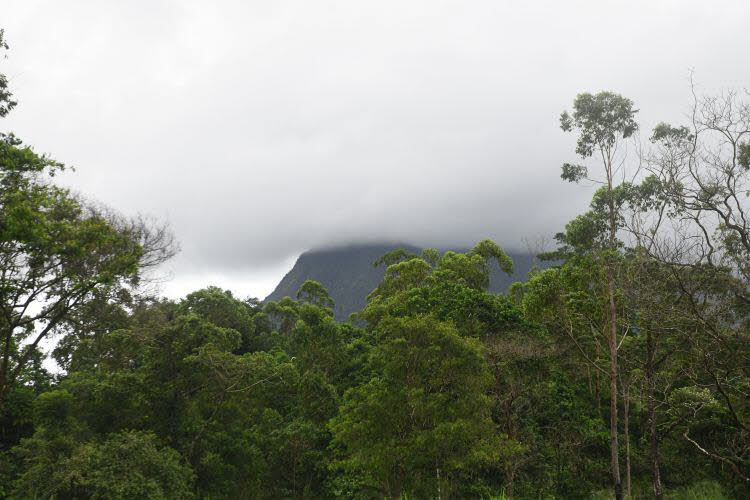 to Cairns 094 Small