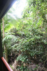 to Cairns 210 Small