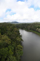 to Cairns 220 Small