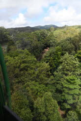 to Cairns 221 Small