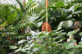 to Cairns 262 Small