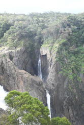 to Cairns 307 Small
