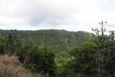 to Cairns 316 Small