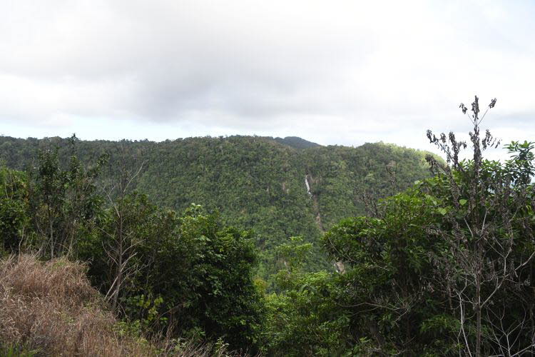 to Cairns 316 Small