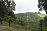 to Cairns 319 Small