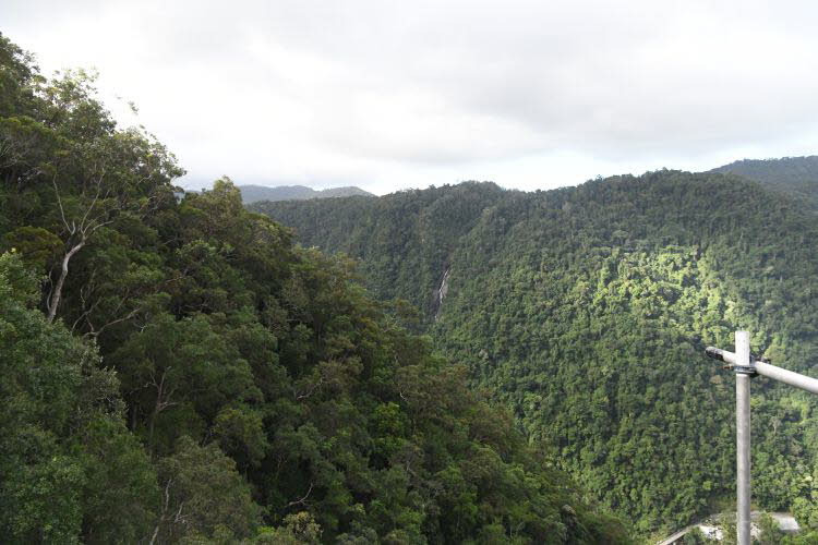 to Cairns 320 Small