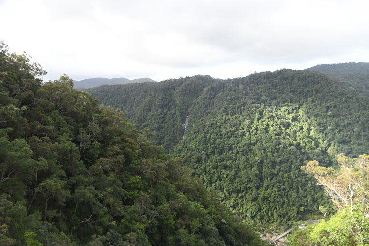to Cairns 321 Small