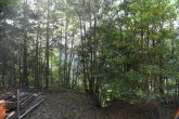 to Cairns 322 Small