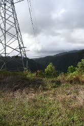 to Cairns 323 Small