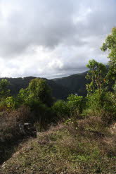 to Cairns 324 Small