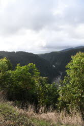 to Cairns 325 Small