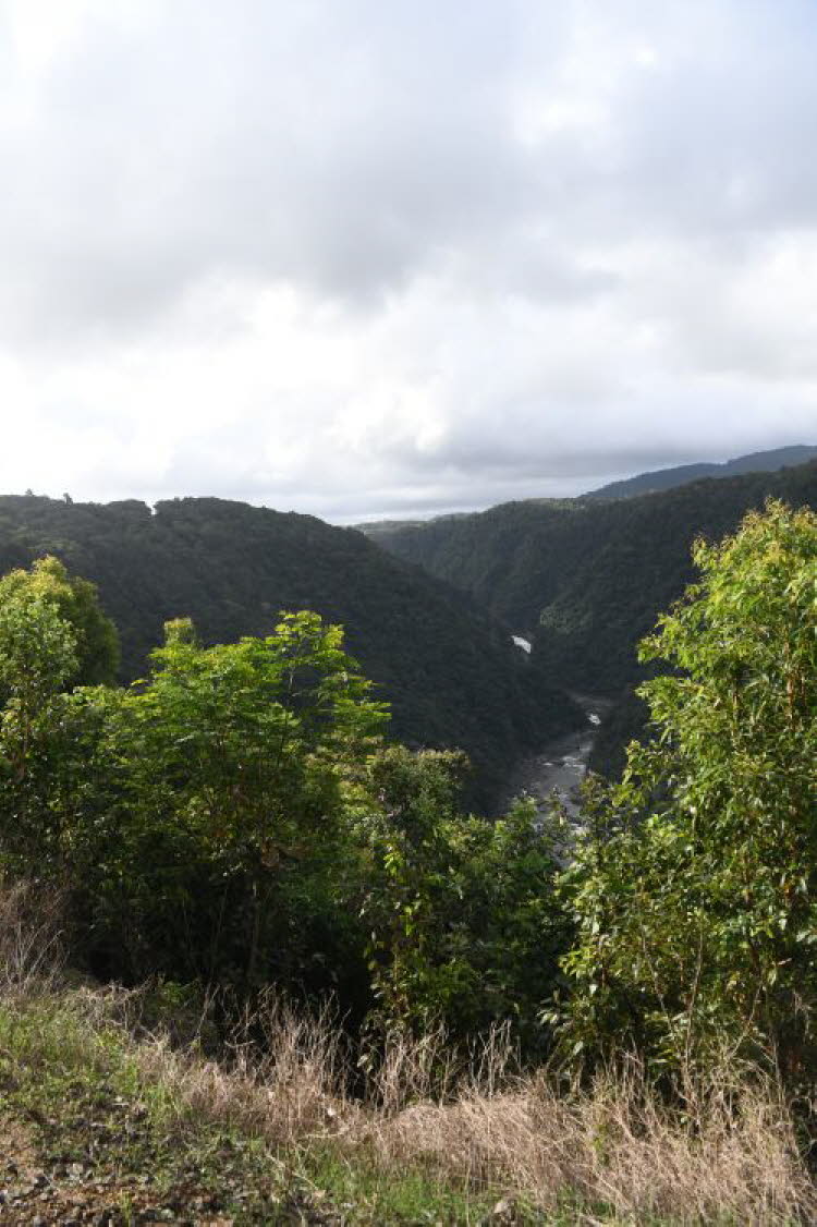 to Cairns 325 Small