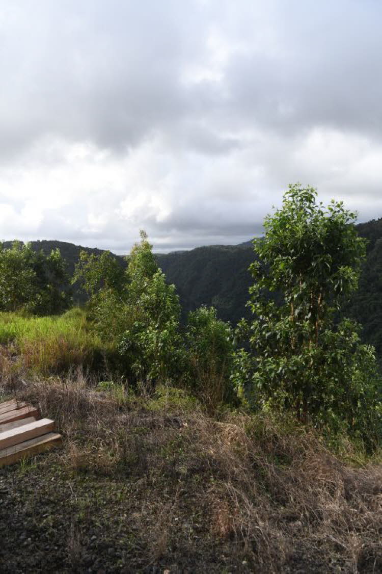 to Cairns 326 Small