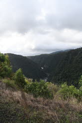 to Cairns 327 Small