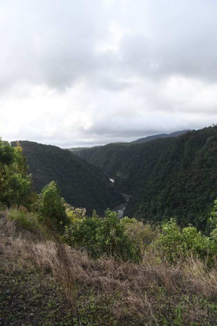 to Cairns 327 Small