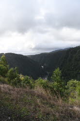 to Cairns 328 Small