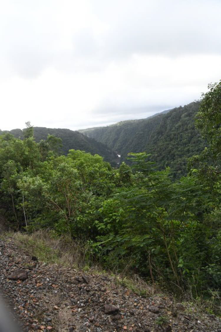 to Cairns 330 Small