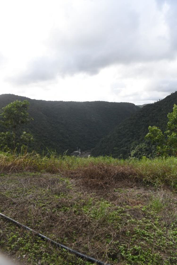 to Cairns 332 Small