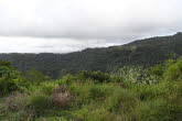 to Cairns 333 Small