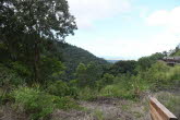 to Cairns 334 Small