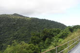 to Cairns 336 Small